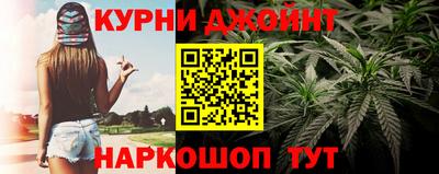 apvp Гатчина